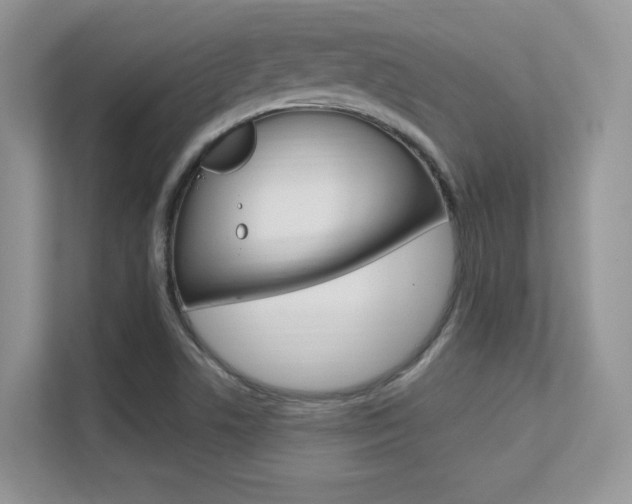 X0000112351506200908131004