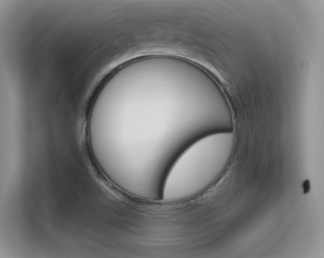 X0000112351507200908131004