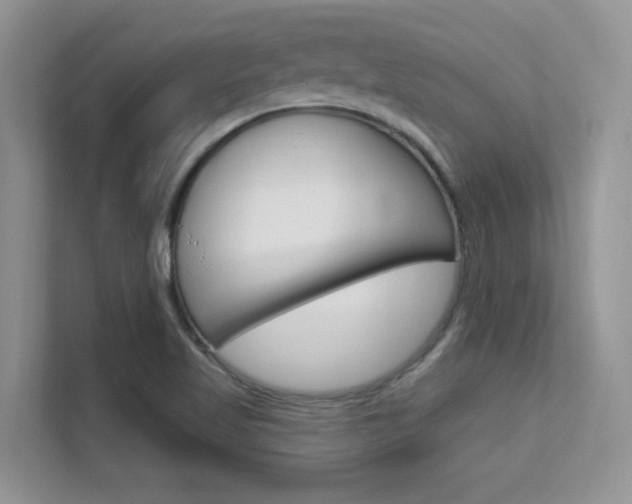 X0000112351509200908131004