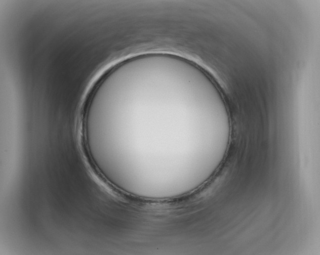 X0000112351511200908131004