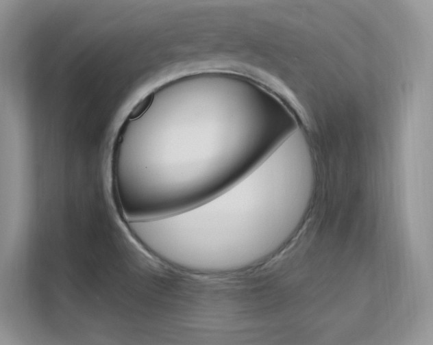 X0000112351512200908131004