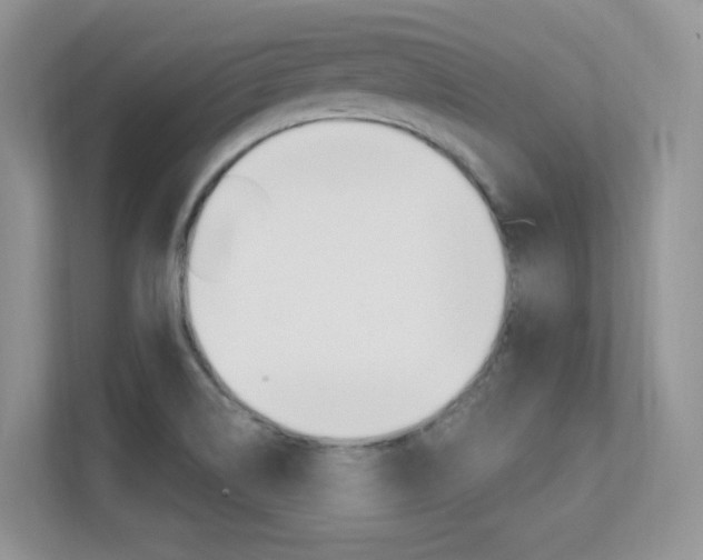X0000112351514200908131004