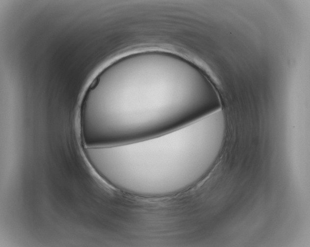 X0000112351516200908131004