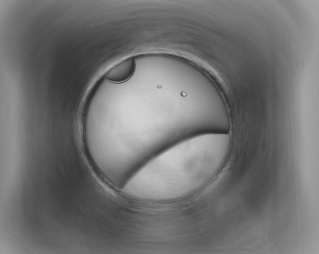 X0000112351517200908131004
