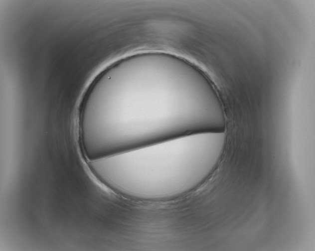 X0000112351519200908131004