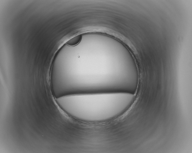 X0000112351521200908131004