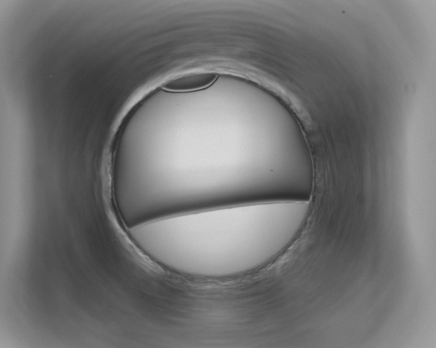 X0000112351522200908131004