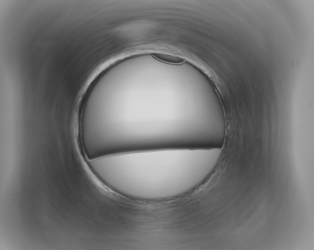 X0000112351523200908131004