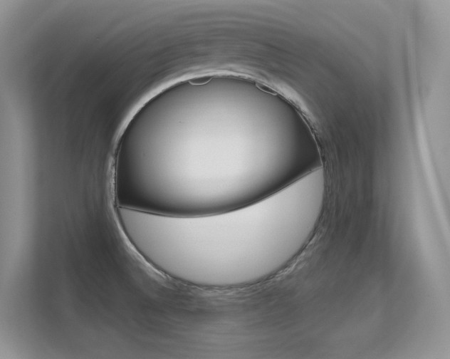 X0000112351524200908131004