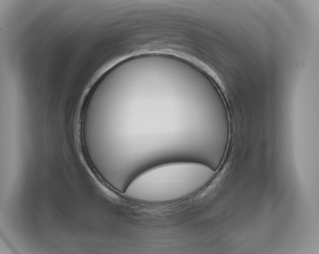 X0000112351525200908131004