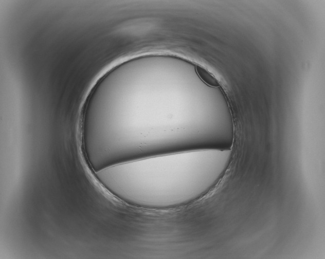 X0000112351526200908131004