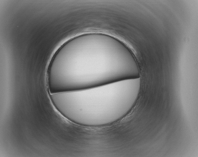 X0000112351527200908131004
