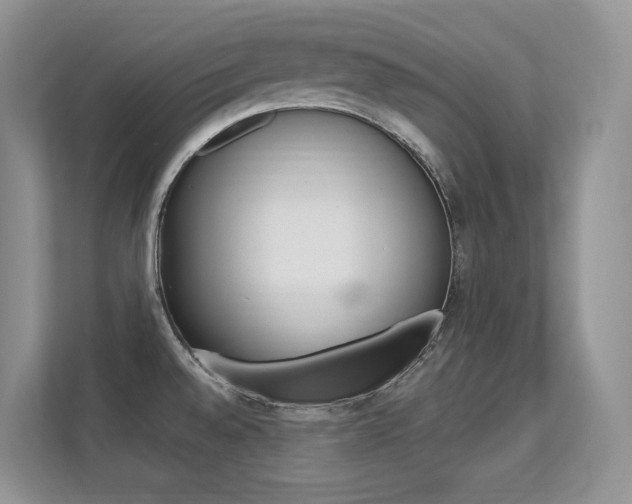 X0000112351528200908131004