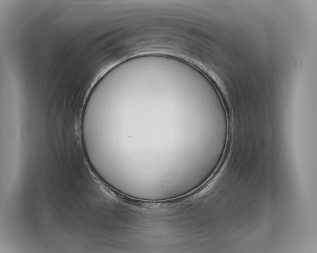 X0000112351529200908131004