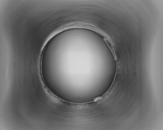 X0000112351530200908131004