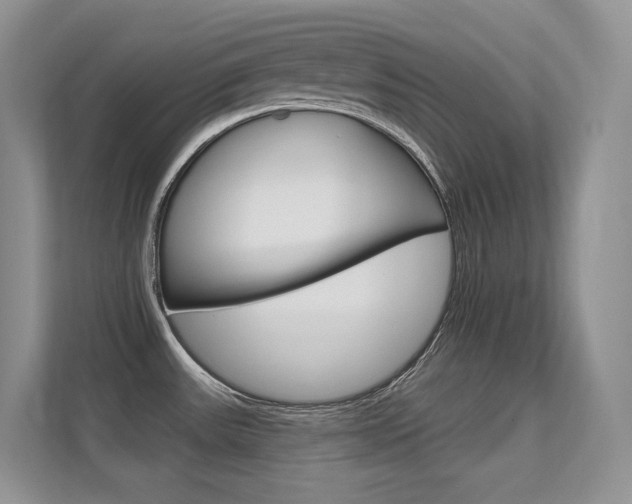 X0000112351531200908131004