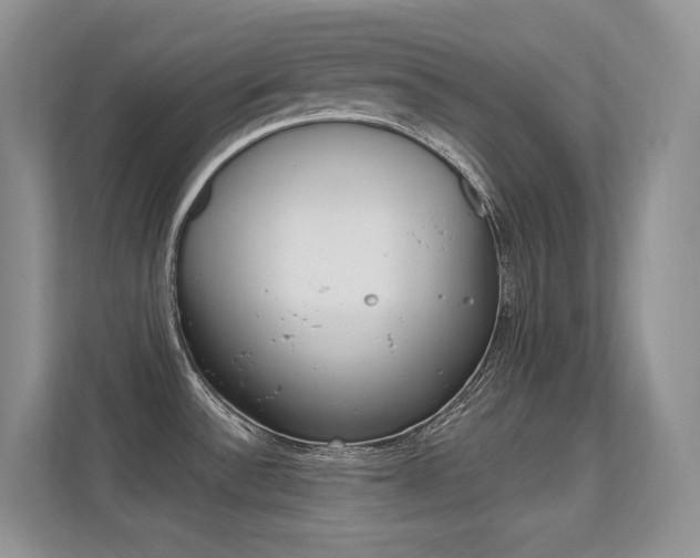 X0000112351532200908131004