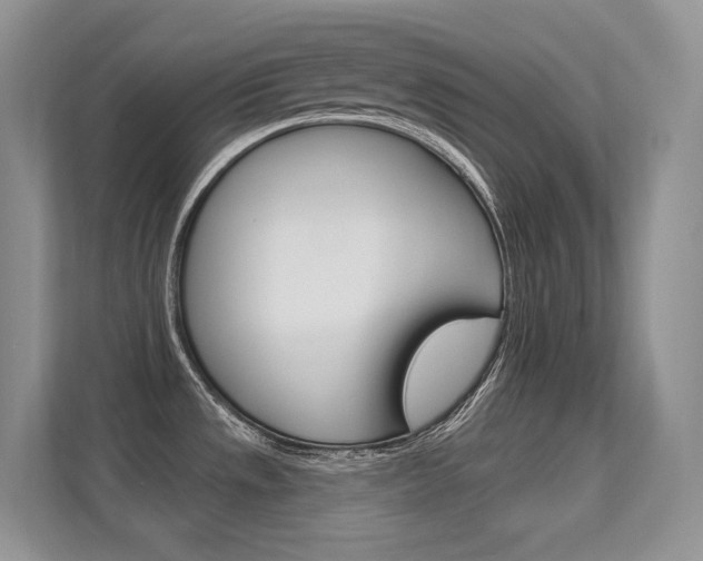 X0000112351533200908131004