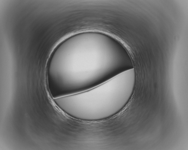 X0000112351534200908131004