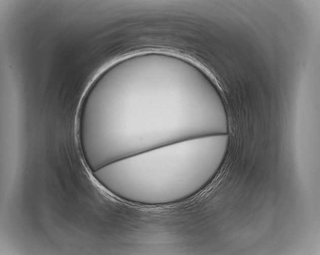 X0000112351535200908131004