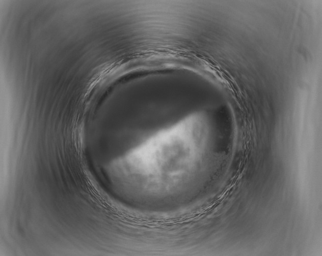 X0000112350002200908131438