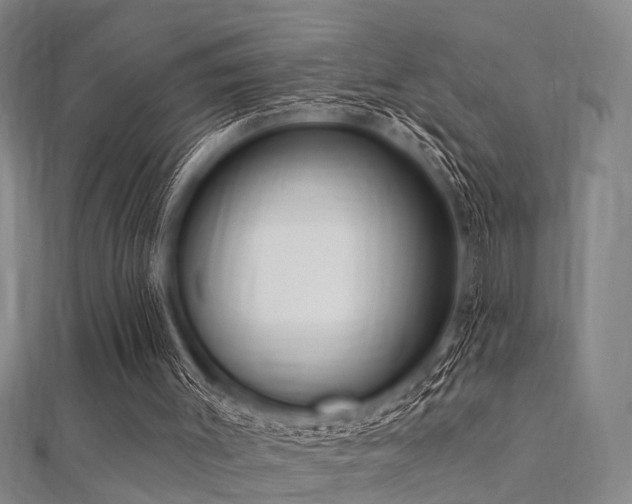 X0000112350003200908131438
