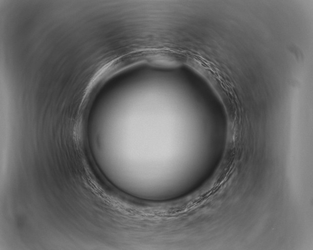X0000112350004200908131438