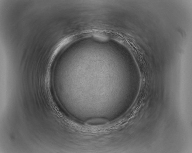 X0000112350006200908131438