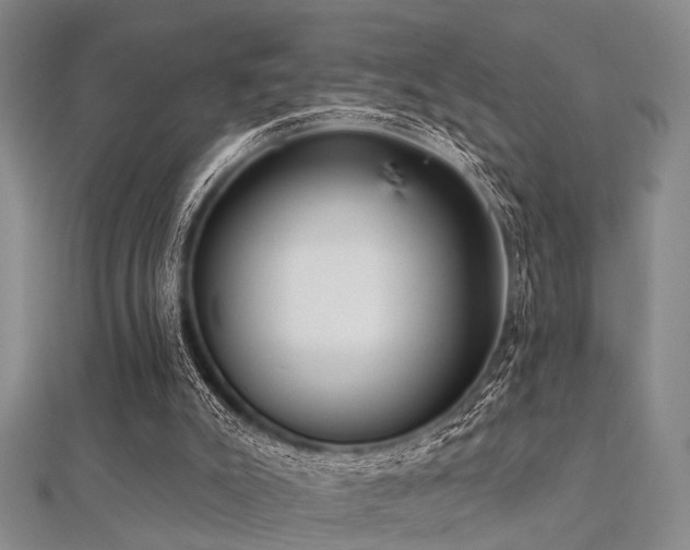 X0000112350007200908131438