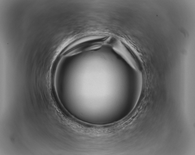 X0000112350008200908131438