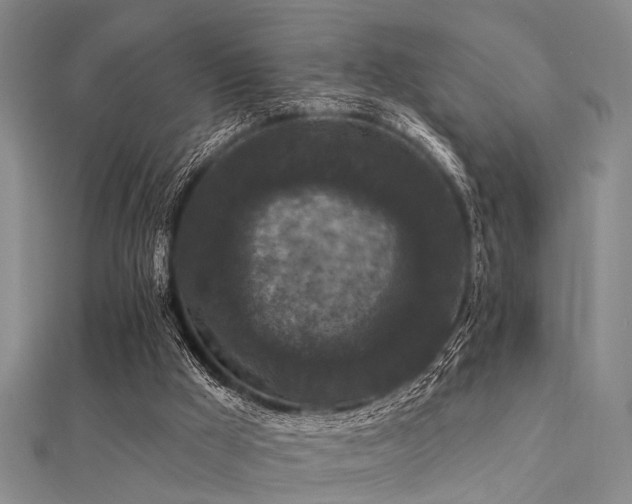 X0000112350009200908131438