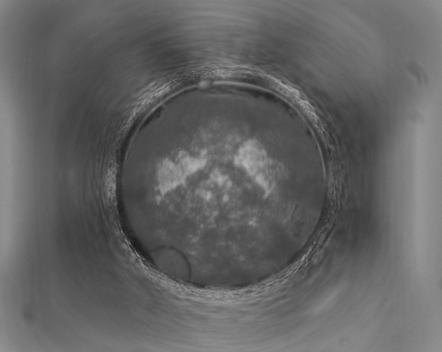 X0000112350010200908131438