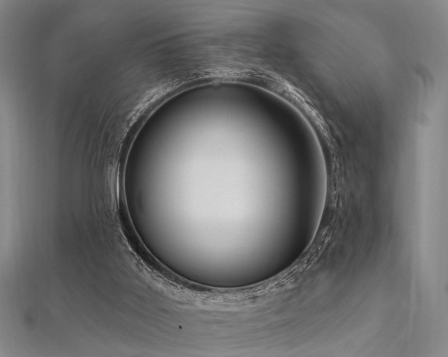 X0000112350011200908131438