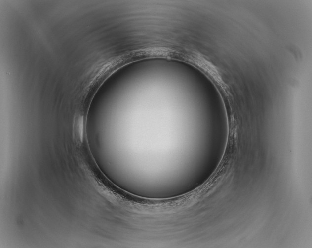 X0000112350013200908131438