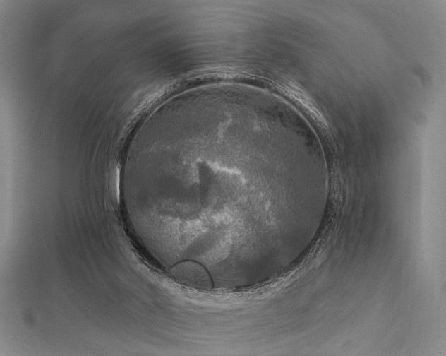 X0000112350014200908131438
