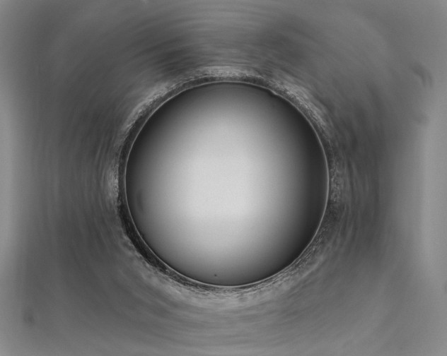 X0000112350015200908131438