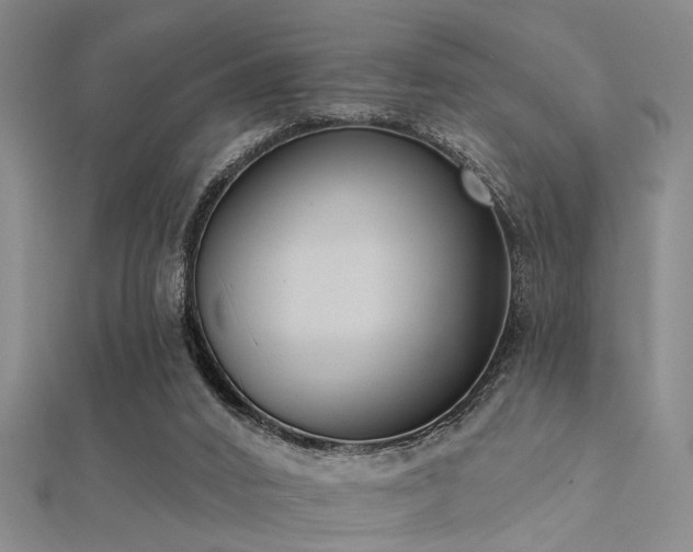 X0000112350016200908131438