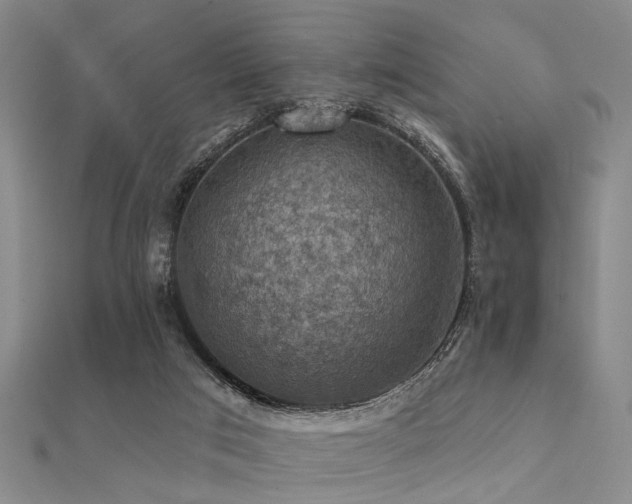 X0000112350017200908131438