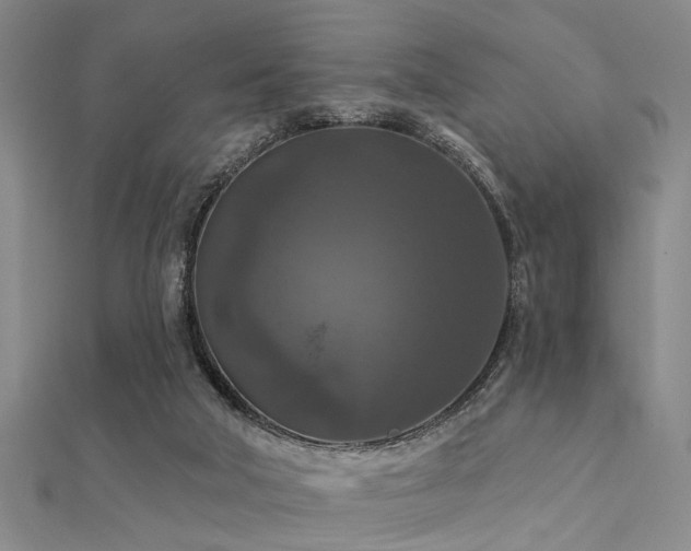 X0000112350018200908131438