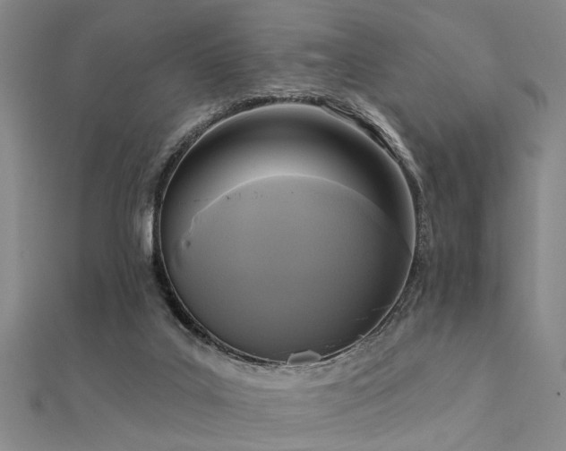 X0000112350019200908131438
