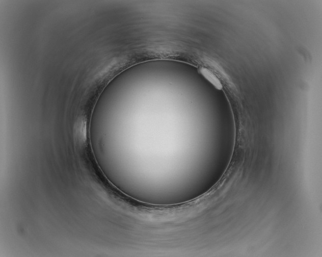 X0000112350021200908131438