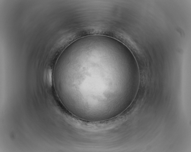 X0000112350022200908131438