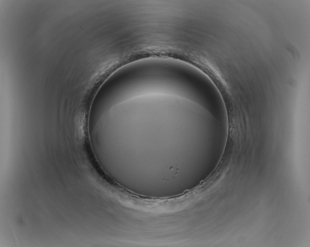X0000112350023200908131438