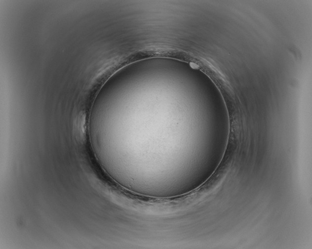 X0000112350024200908131438