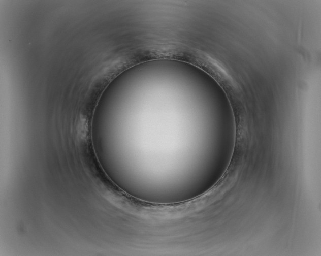 X0000112350025200908131438