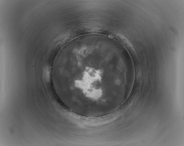 X0000112350026200908131438
