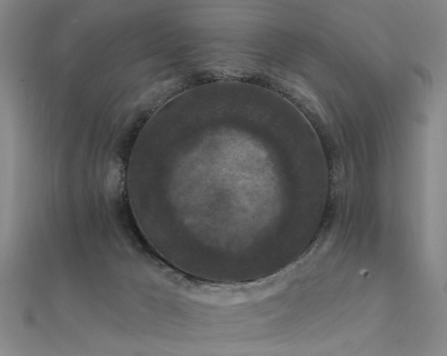 X0000112350029200908131438