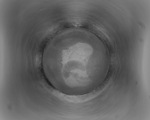 X0000112350030200908131438