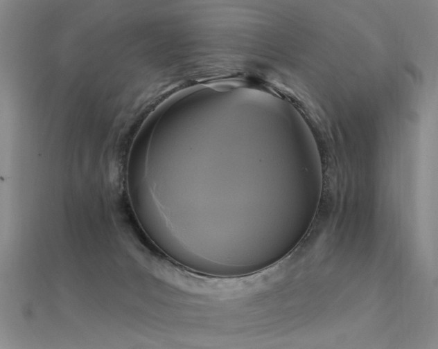 X0000112350031200908131438