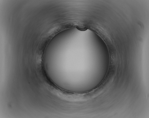 X0000112350032200908131438